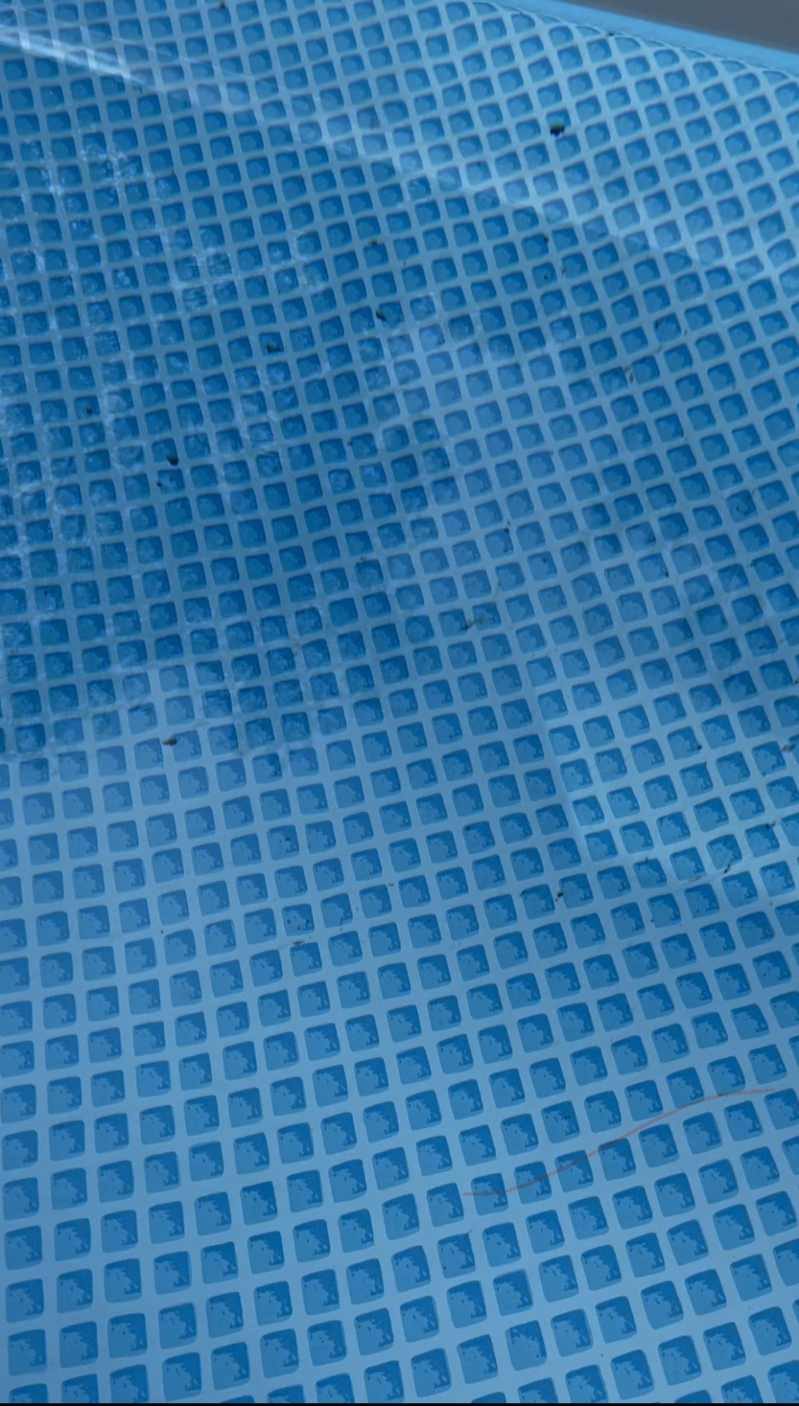 CB8A18EB-9229-4AF4-B8D5-D86327016648.jpeg