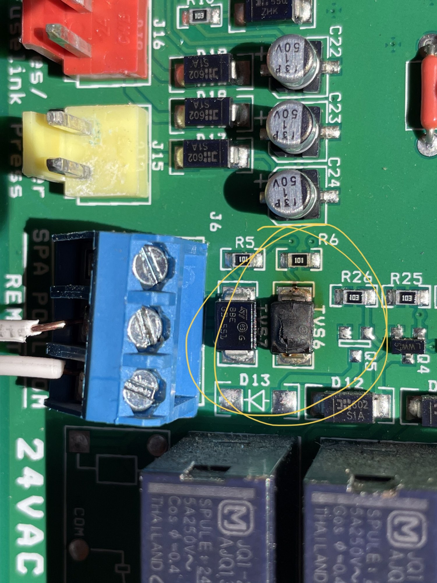 CCDA7599-7906-47B9-B939-DE1EF282A374.jpeg