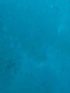 CDD86CEA-5541-451C-99DE-588FDE18E10F.jpeg