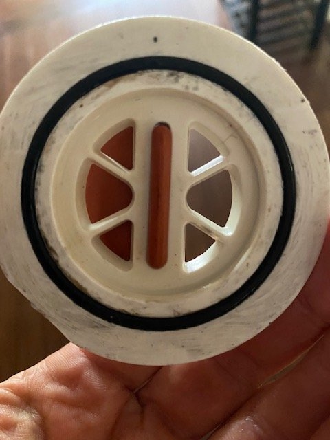 check valve insert 2.jpg