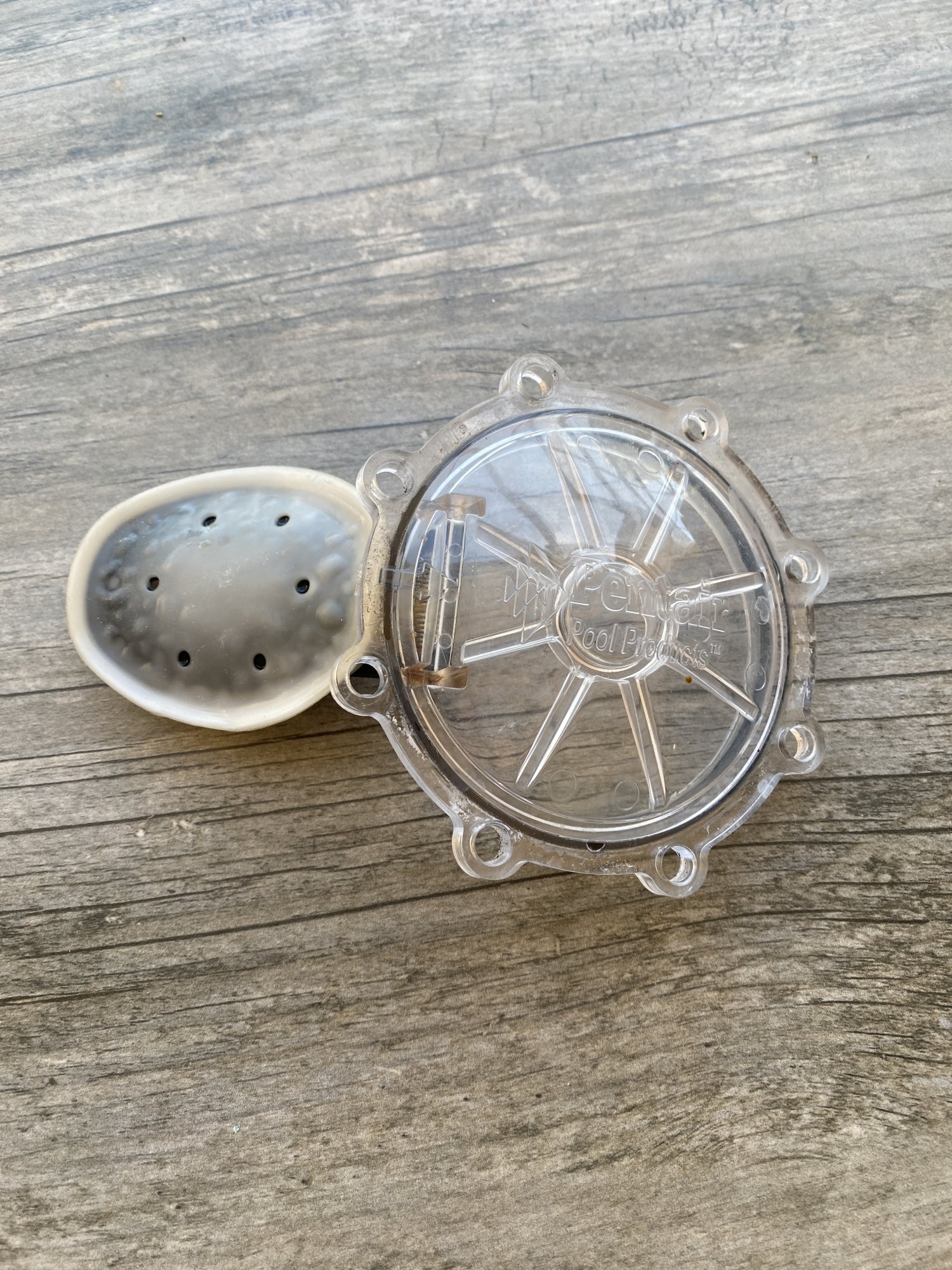 Check Valve.jpg