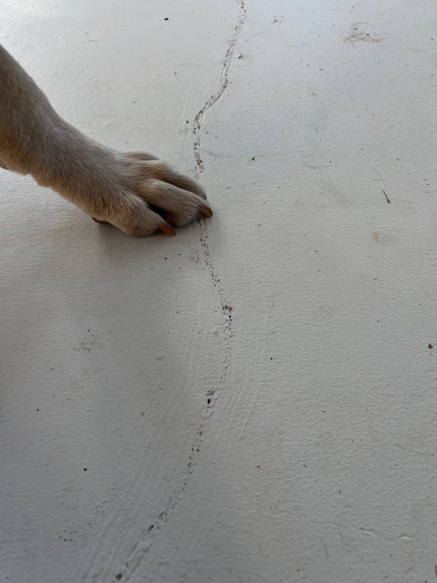 Concrete crack looks worst after they patched it 2