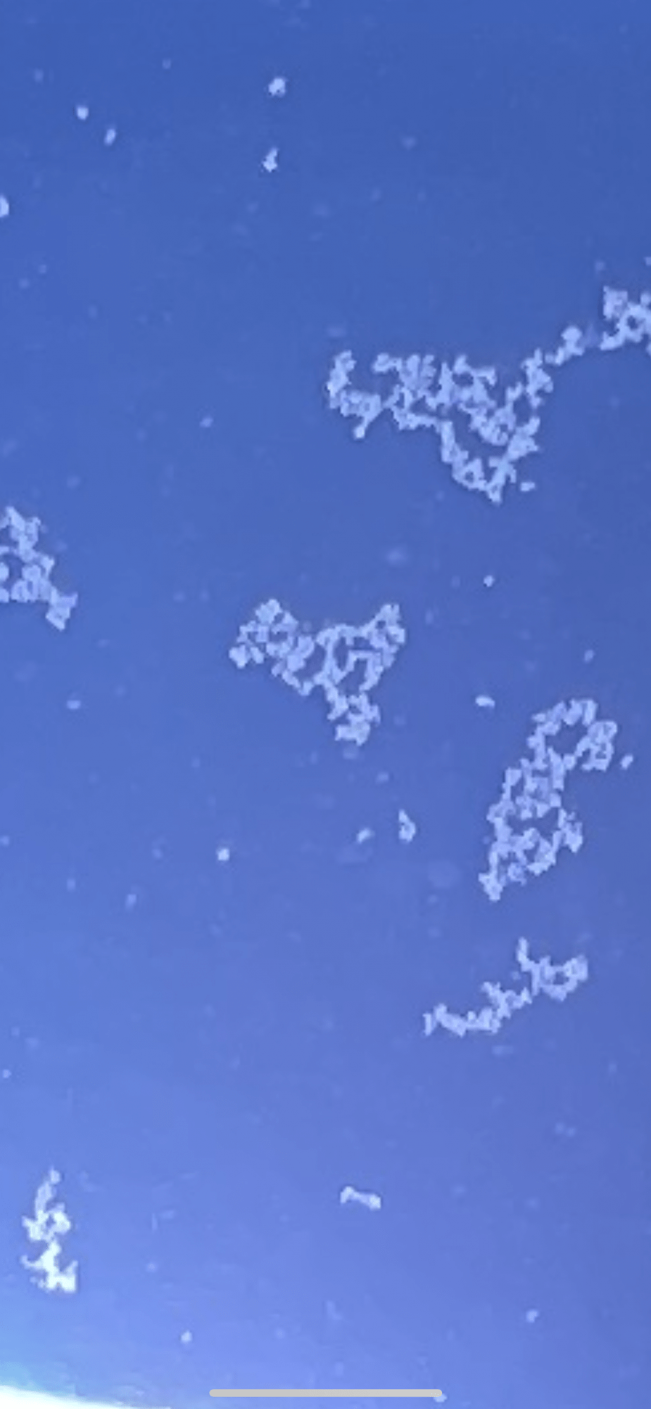 D0844B02-81C6-4974-BAEE-250249DC88DD.png