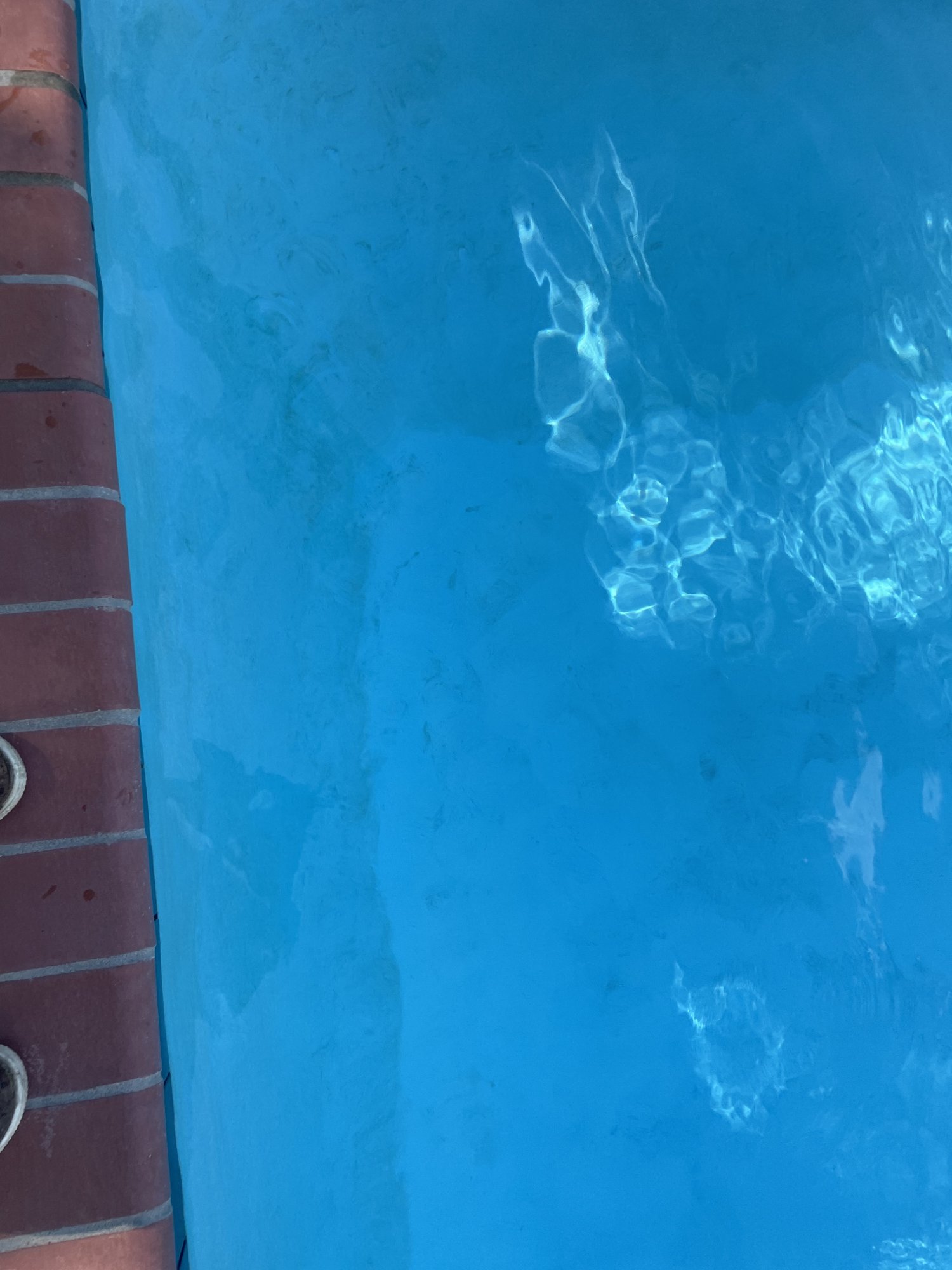 D094485C-CE36-4E60-86F3-9014A9B7834A.jpeg