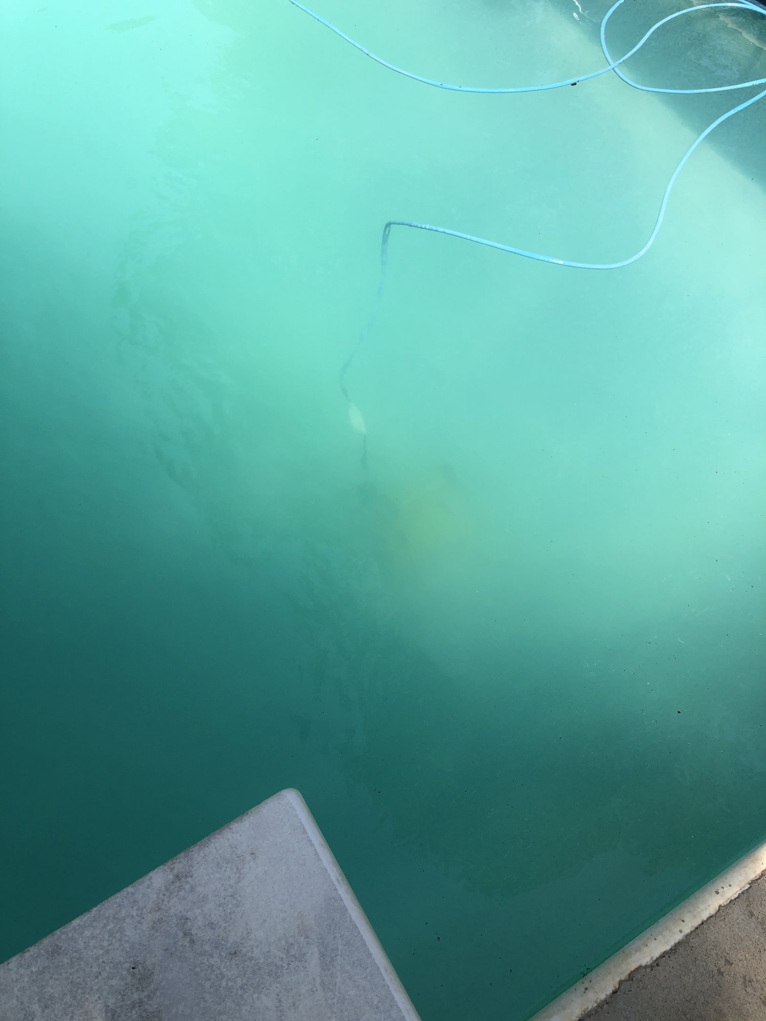 D1B1553F-C786-47D7-AC05-BF059A2DDF62.jpeg