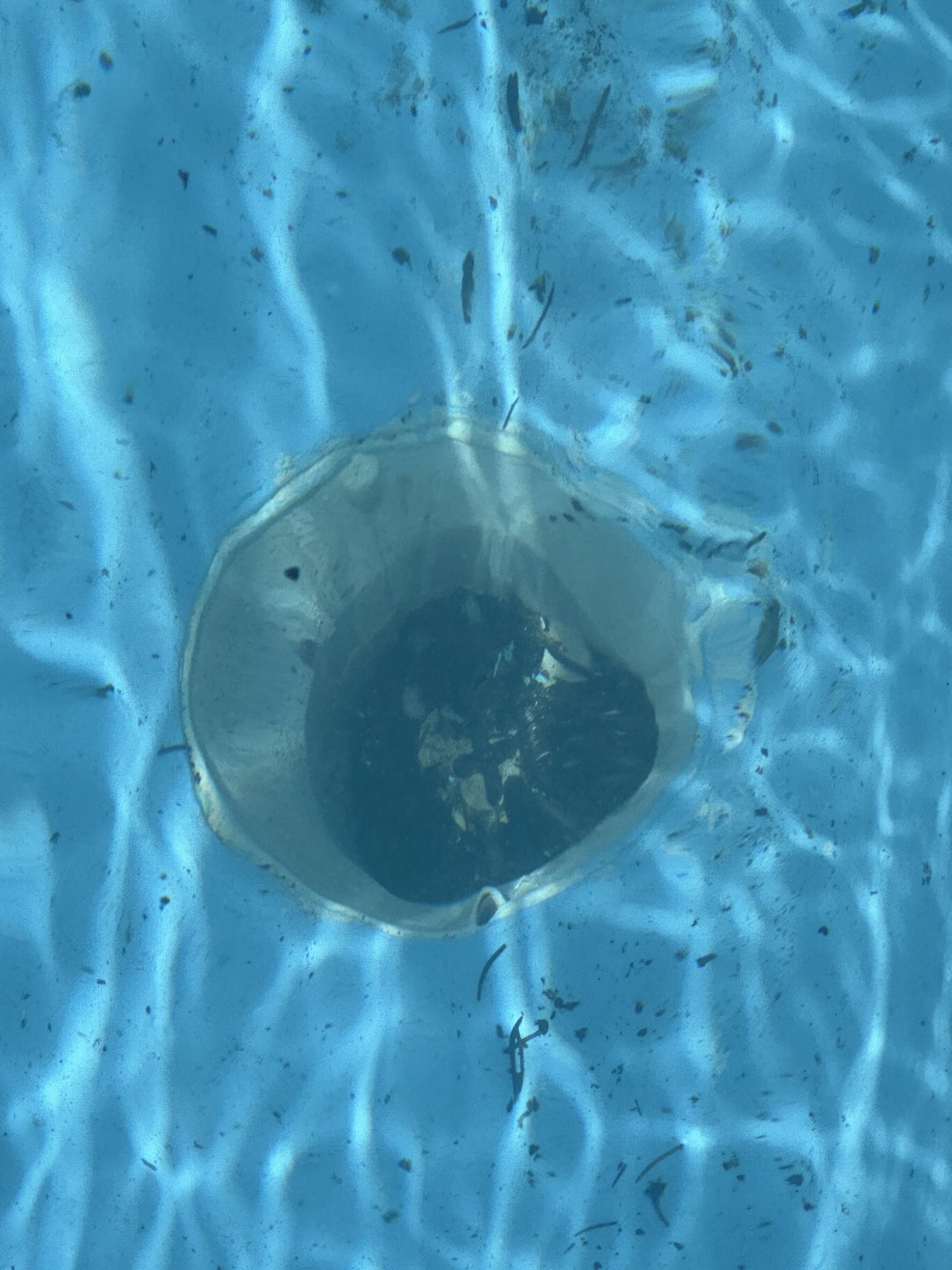 D2CF7815-9631-4851-A062-3DE679B55197.jpeg
