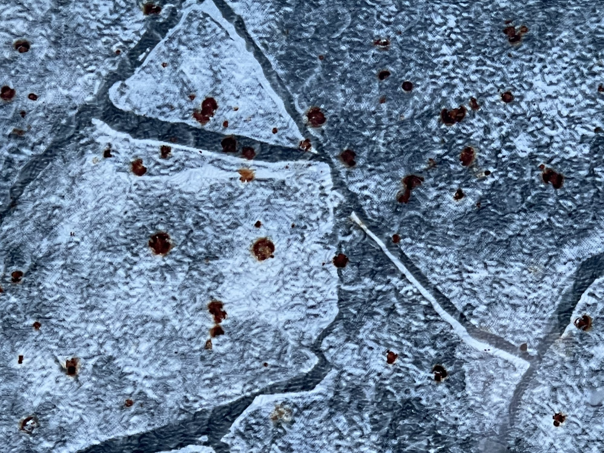 D3B6547A-2676-4922-868E-B8F8A63187F8.jpeg