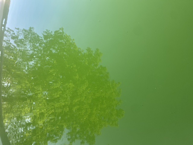 D402710C-C242-4415-AE33-1E0E81724726.jpeg