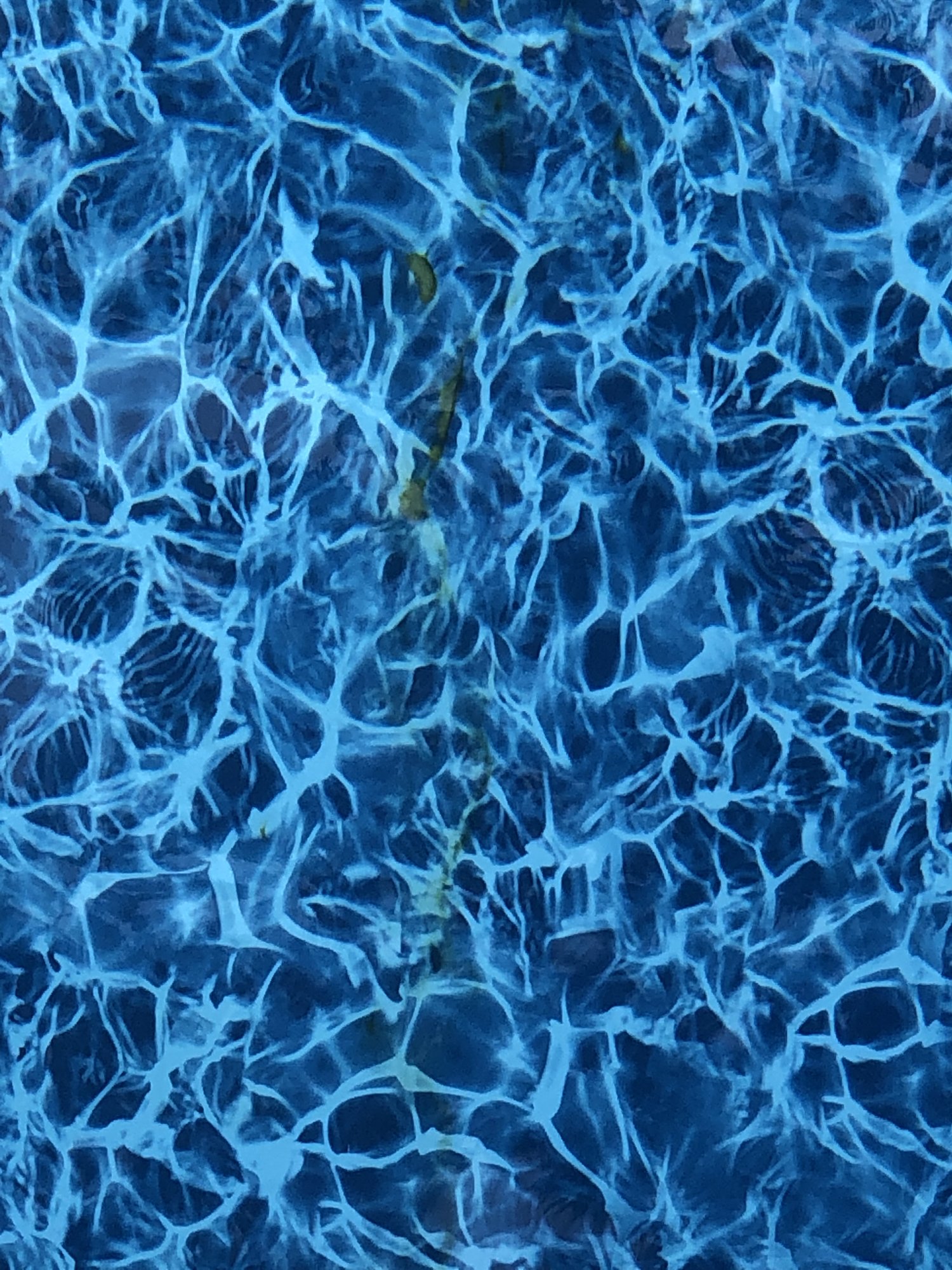 D66F3D50-A6AD-4F1A-9686-87629A09A211.jpeg