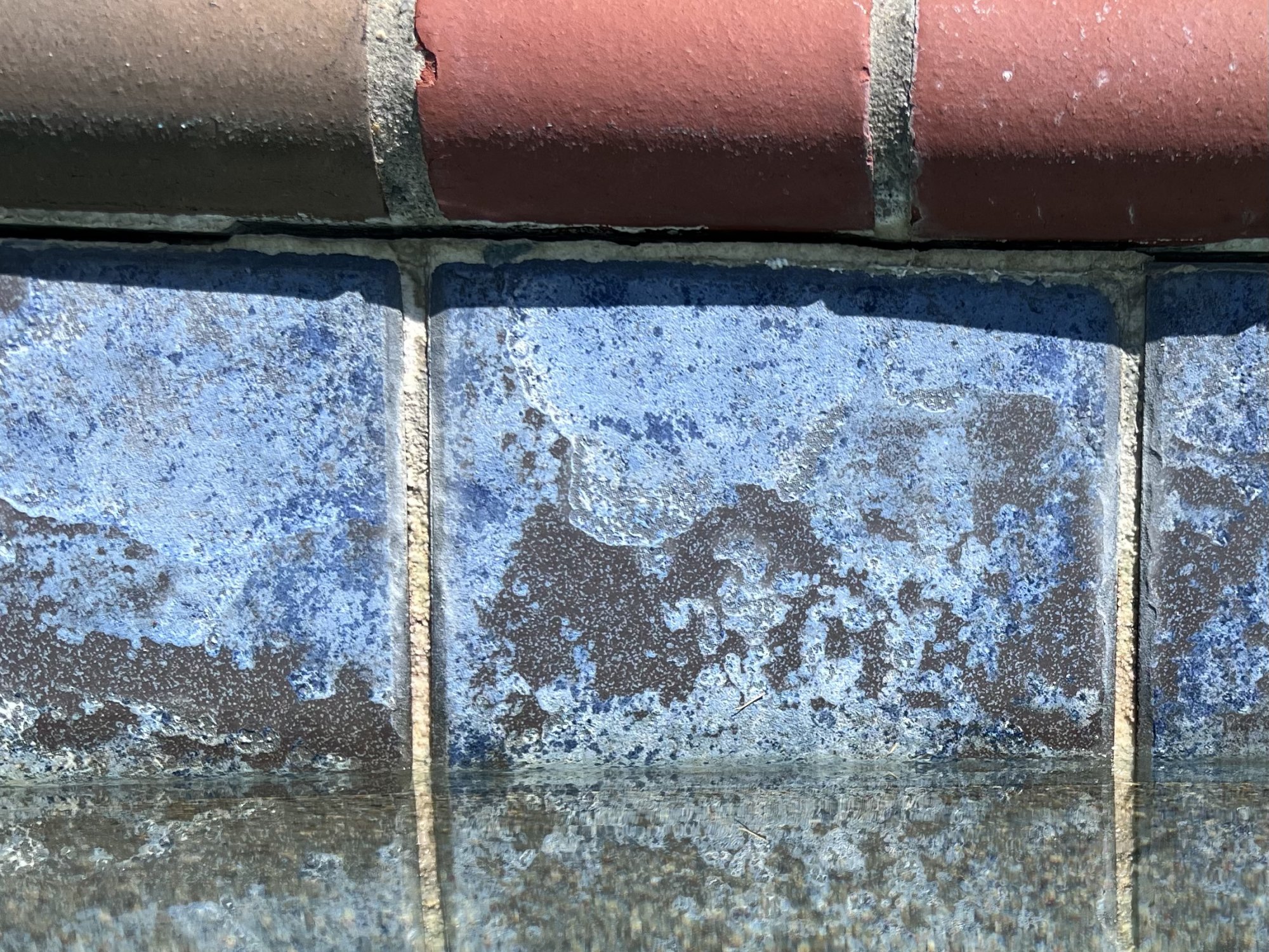 D6971034-0772-476B-BBAC-F6DB6D8CE1ED.jpeg