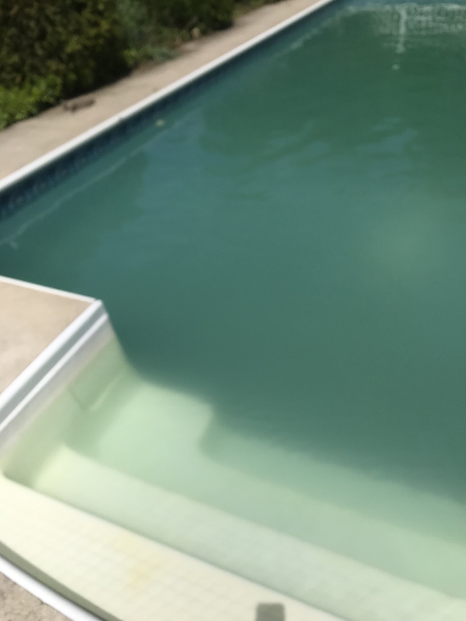 D757D703-F1DF-42CF-AB3D-B775DB3C585D.jpeg