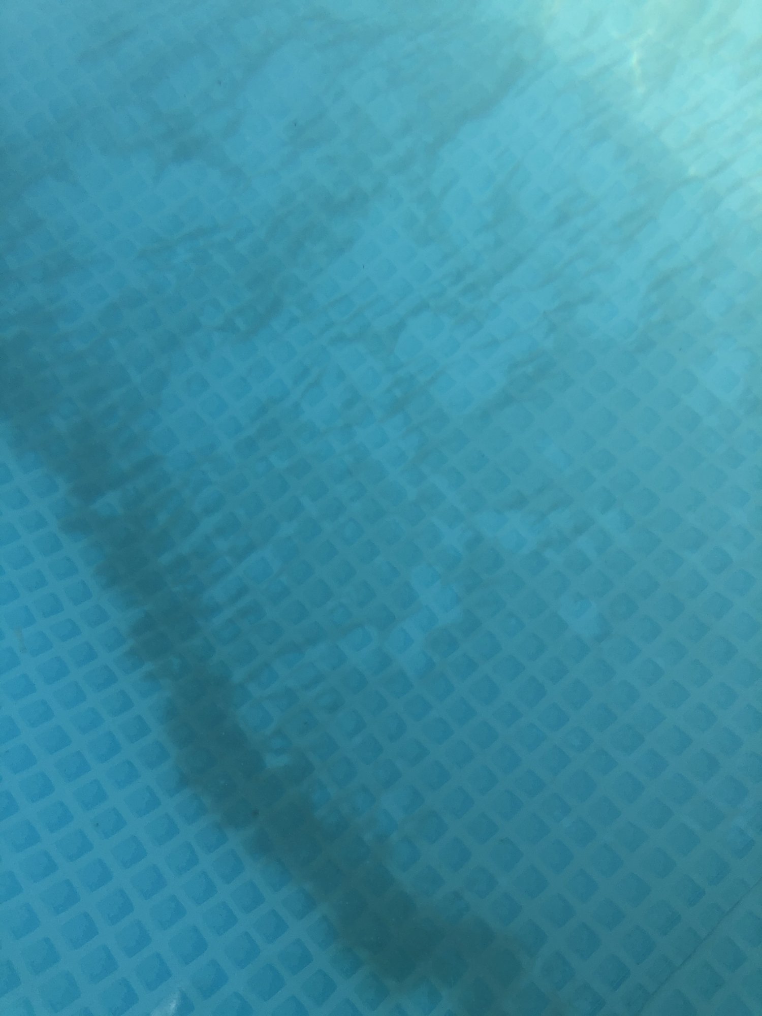D8F776CD-1E4A-4B4C-9A5E-00185E15A56F.jpeg
