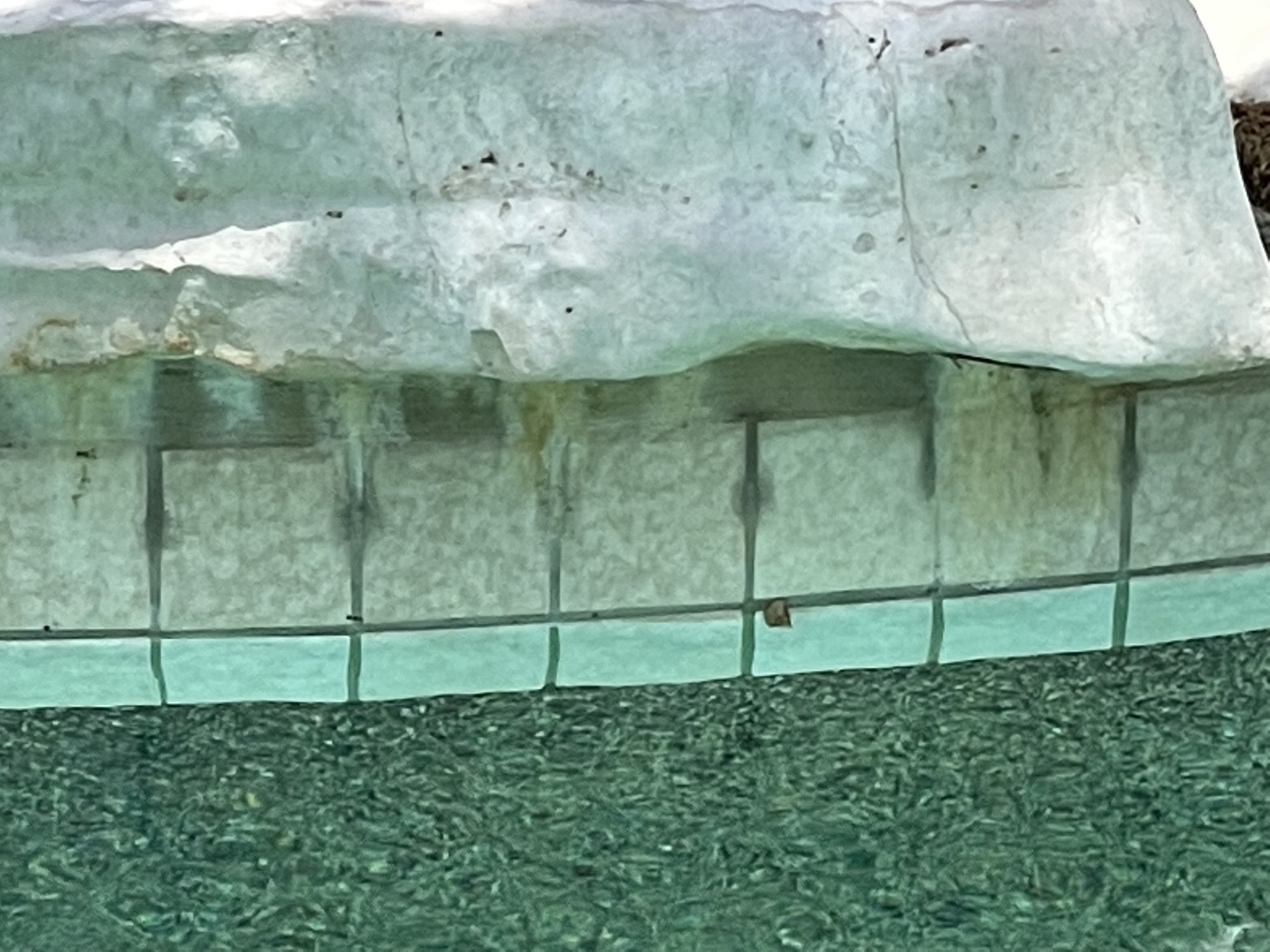 D9031A15-D67C-463E-A1DD-5F22E6350D83.jpeg