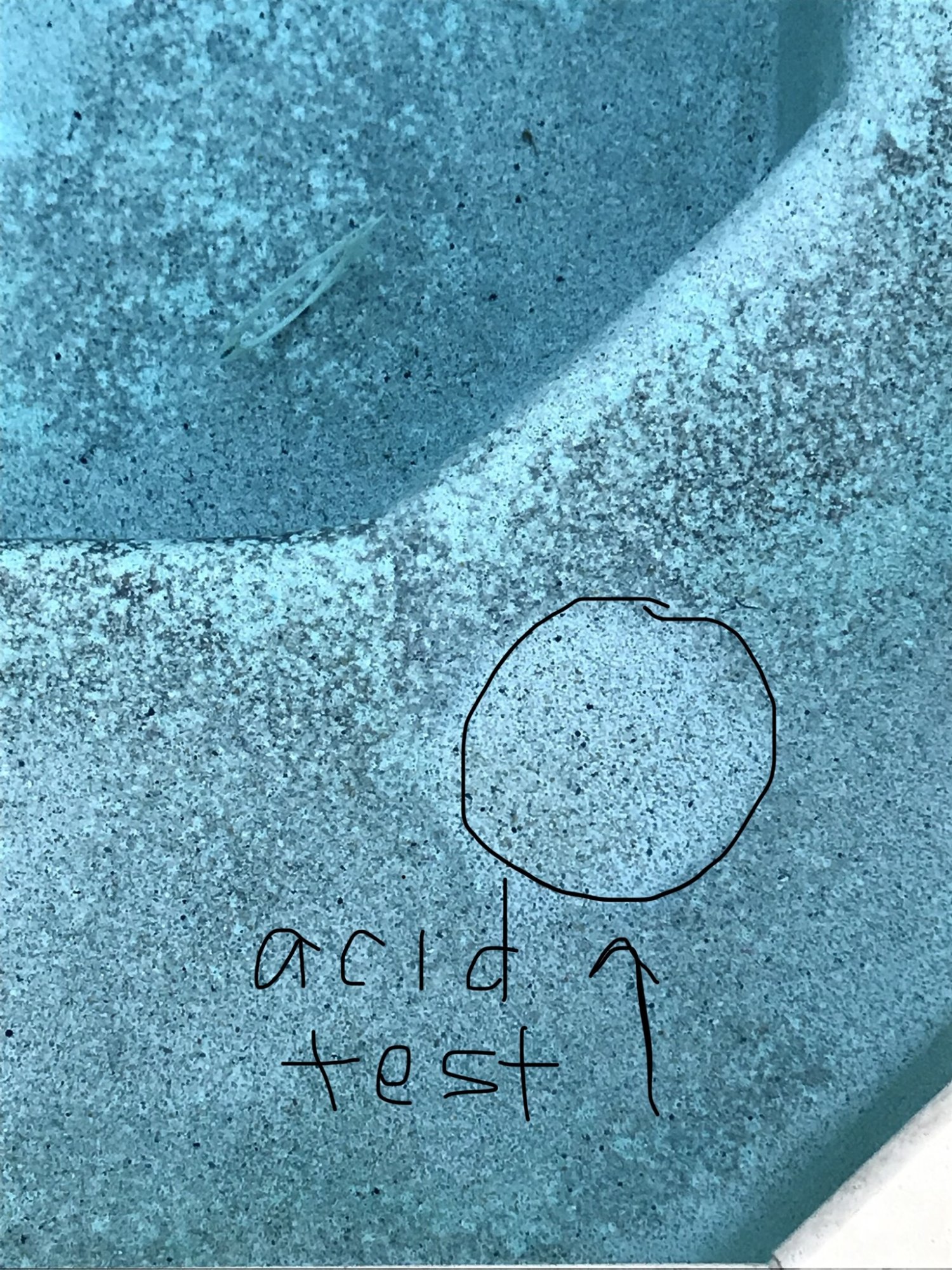 D923857B-5A8A-4CDA-973A-30BDD28DCDBE.jpeg