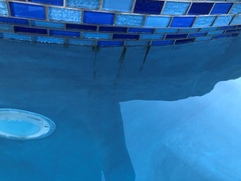 Dadels- Drips From Tile Line