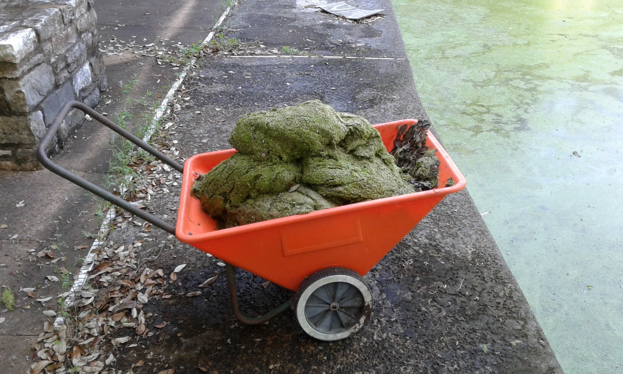 day 01 1 first load.jpg