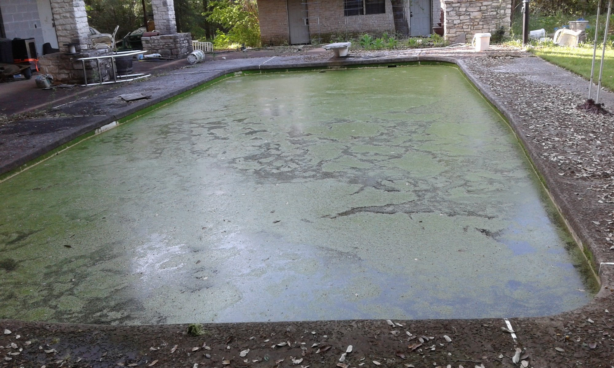 day 01 2 pool.jpg