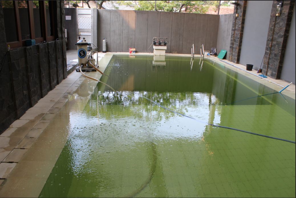 Day 3 - 2nd August 4PM Algae war completed - filters removing algae - 14 hours after super chl...JPG