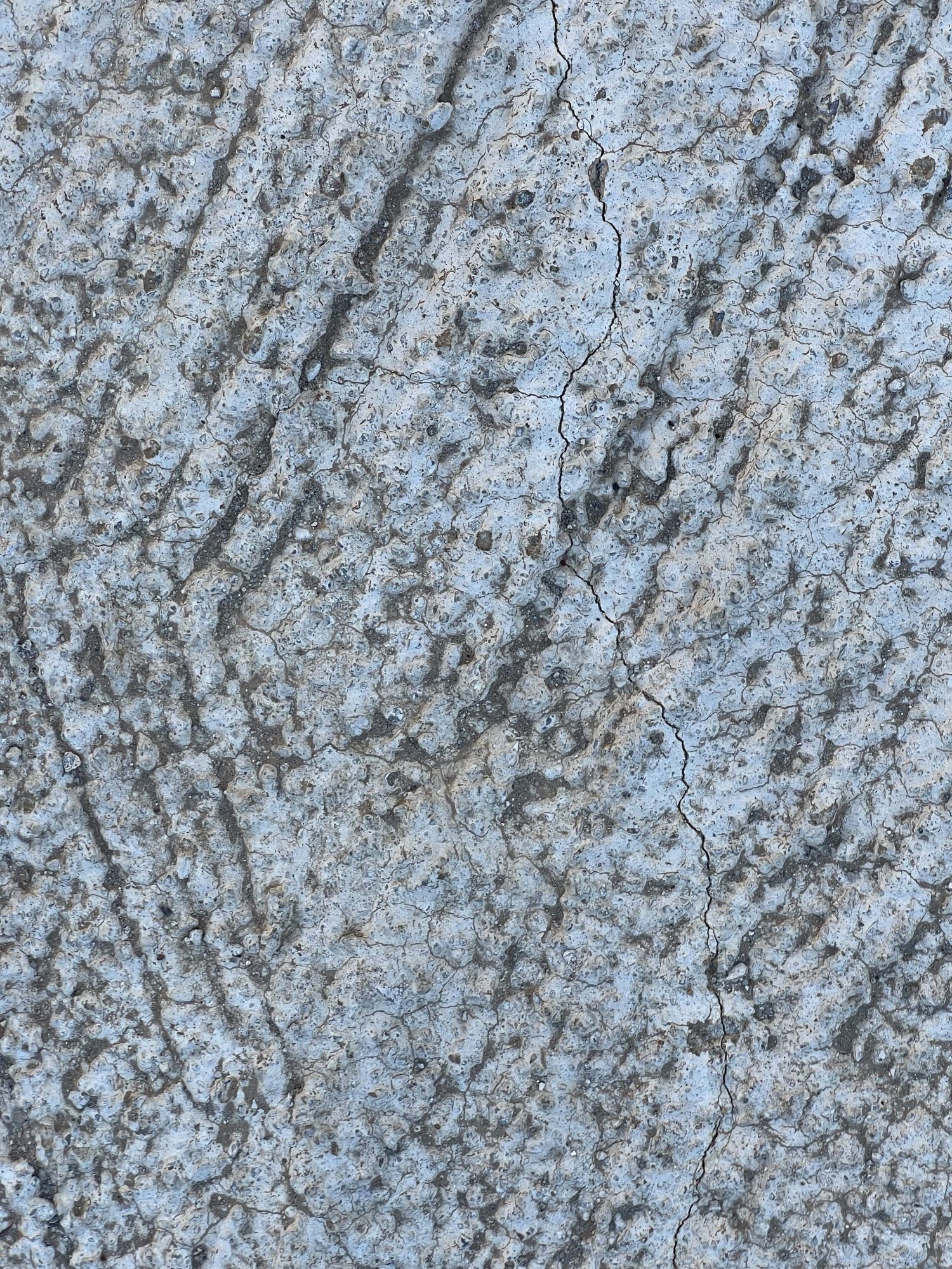 DBD55518-938E-4052-A024-A72067586527.jpeg