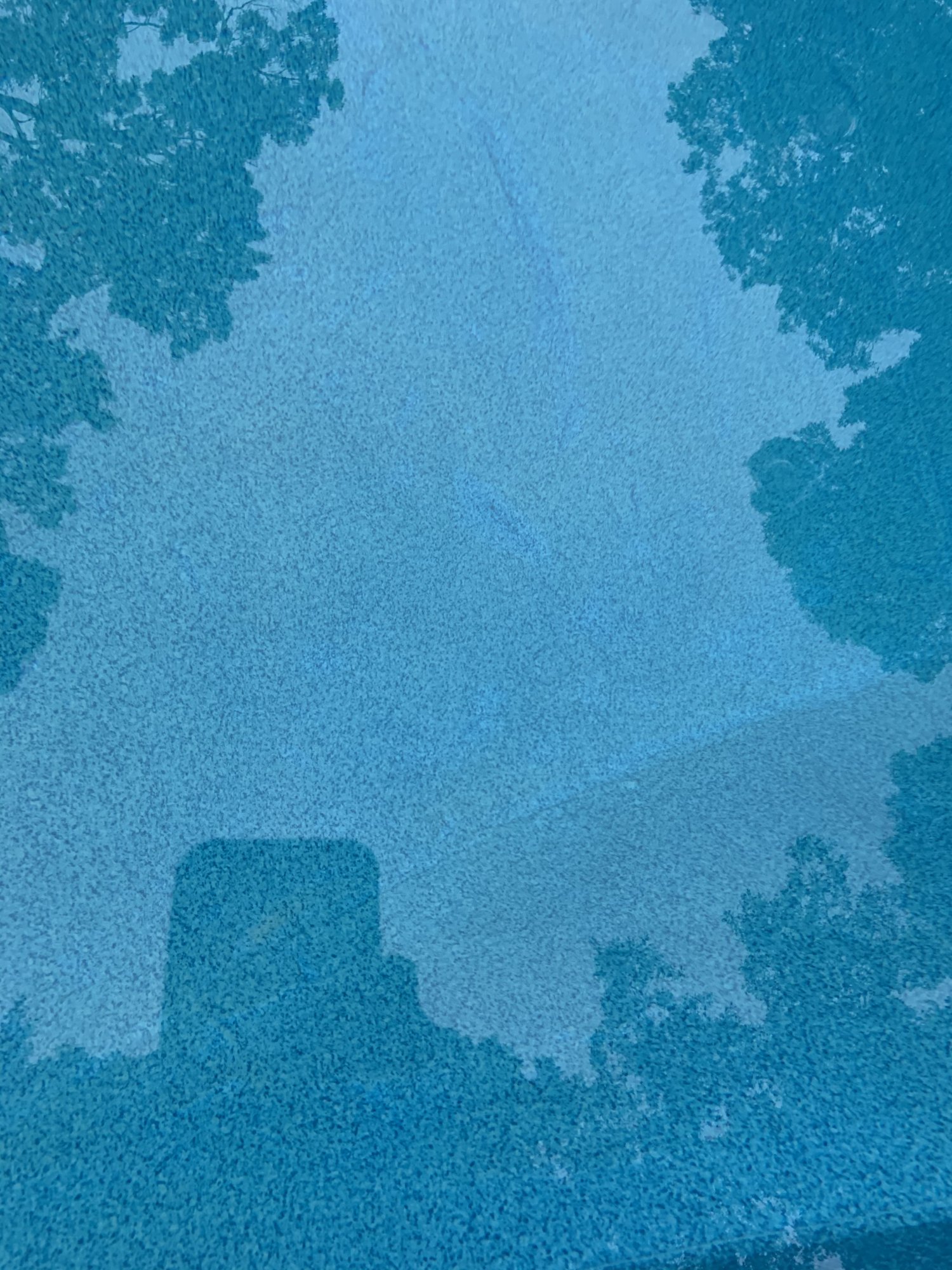 DE2692F7-9E31-4158-9016-852D71A25D3F.jpeg