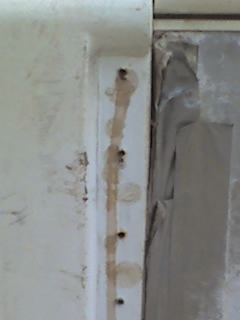 Detail.jpg