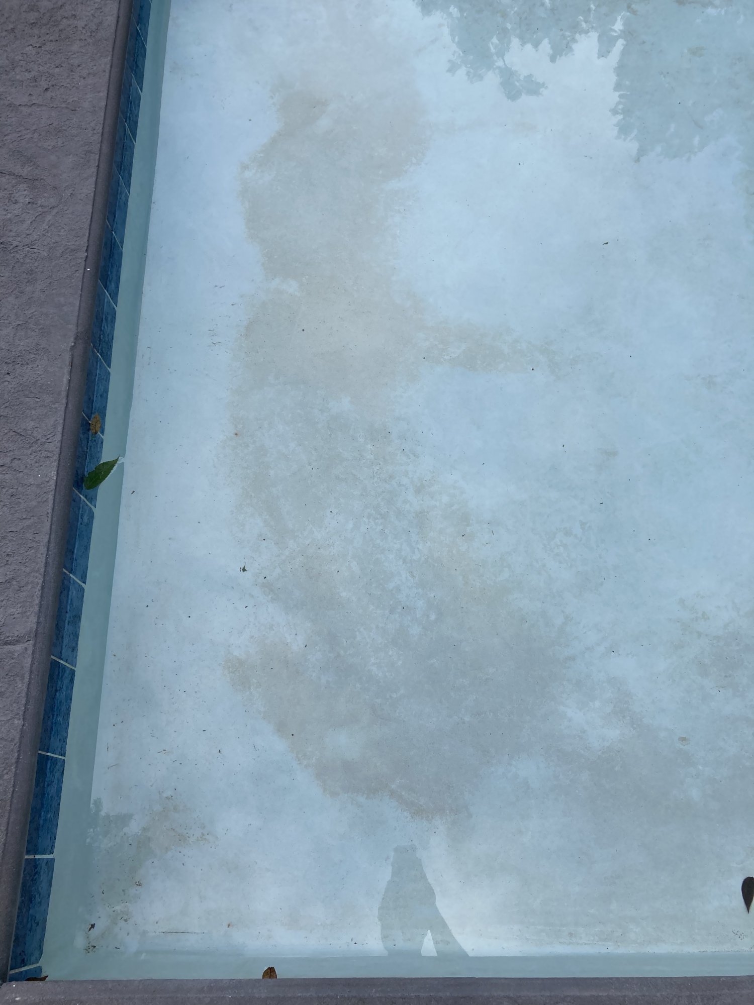 DF9521E3-0F57-420F-81E6-C8E154771408.jpeg