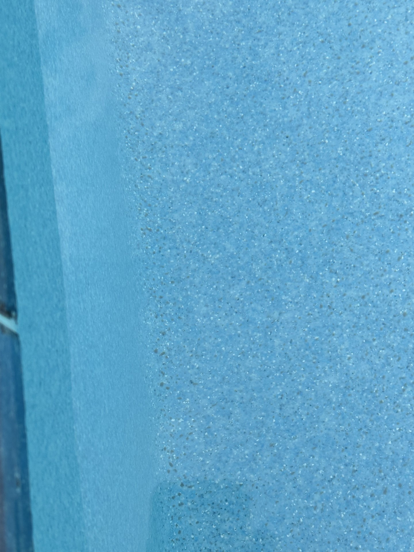 Dirt or algae at edge of pool.jpg