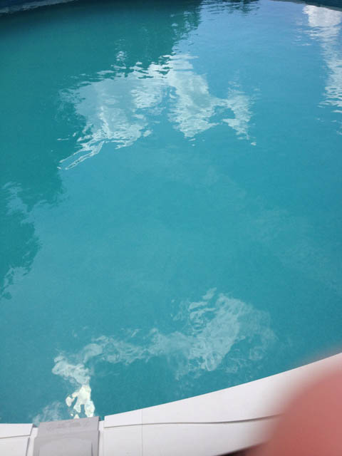 dirty pool 1 small.jpg