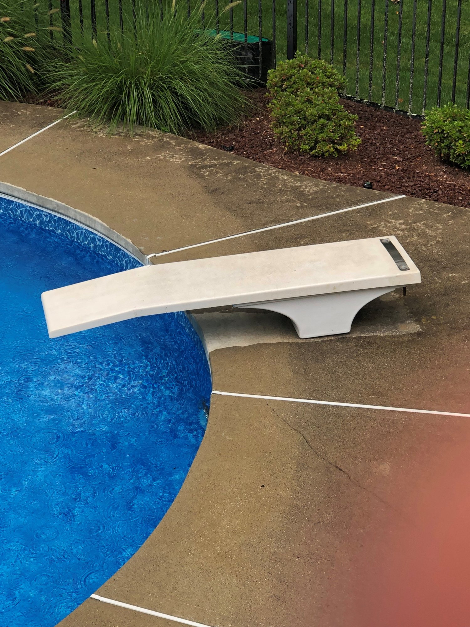 Diving Board pic.jpg
