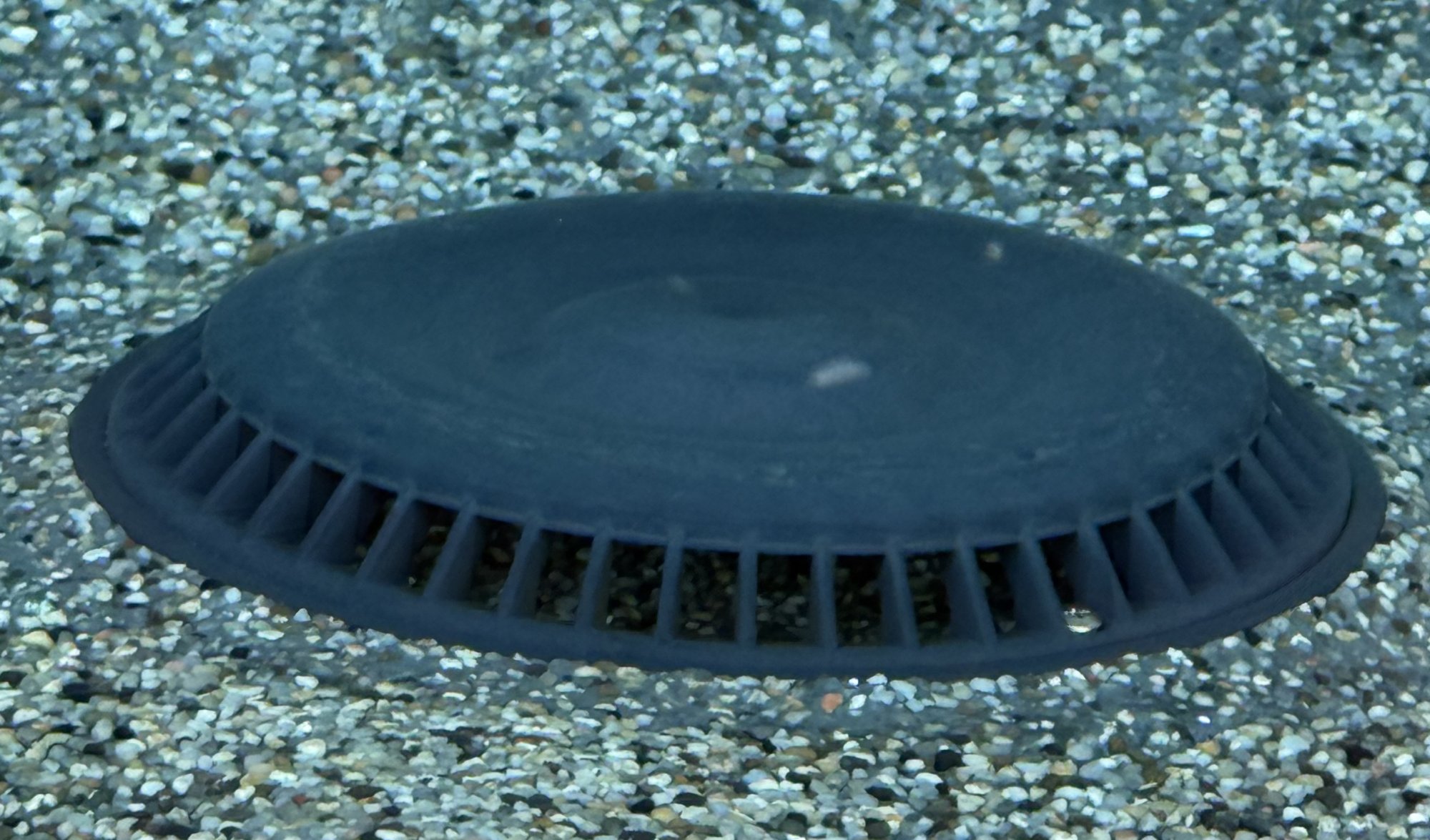 Drain Close-up.jpeg