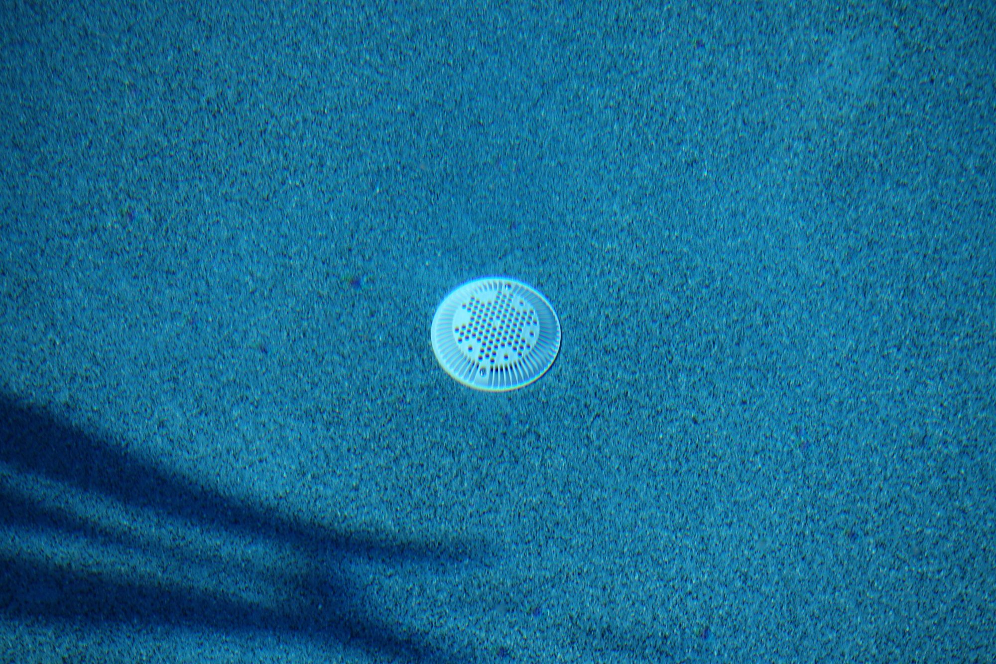 DSC00078.jpg