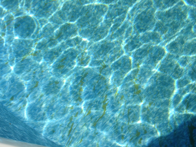 DSC02684.JPG
