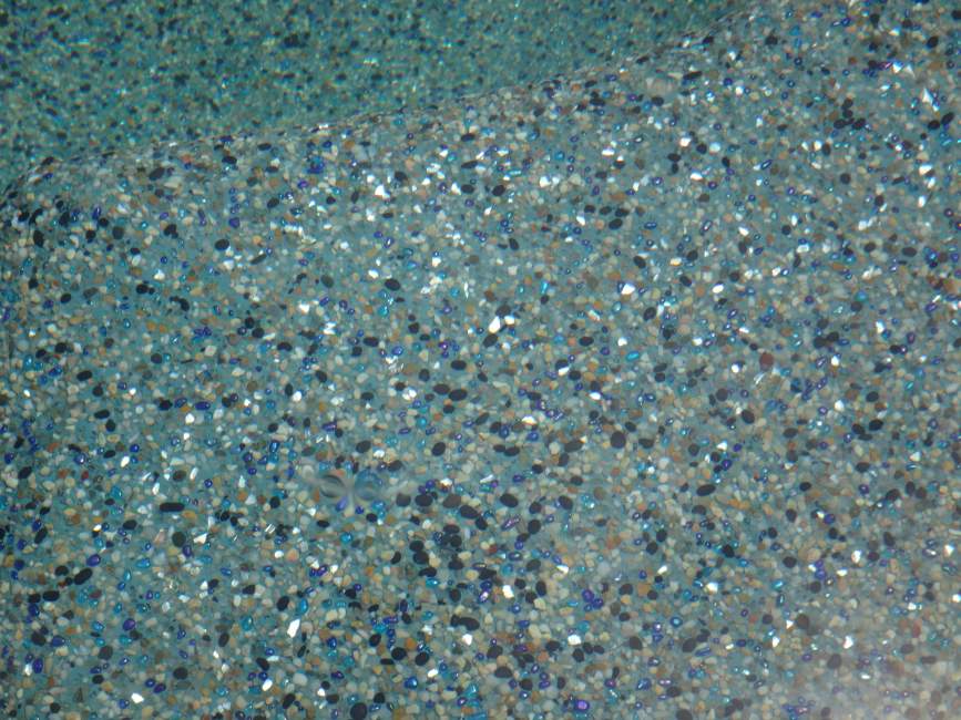 DSC02813.jpg