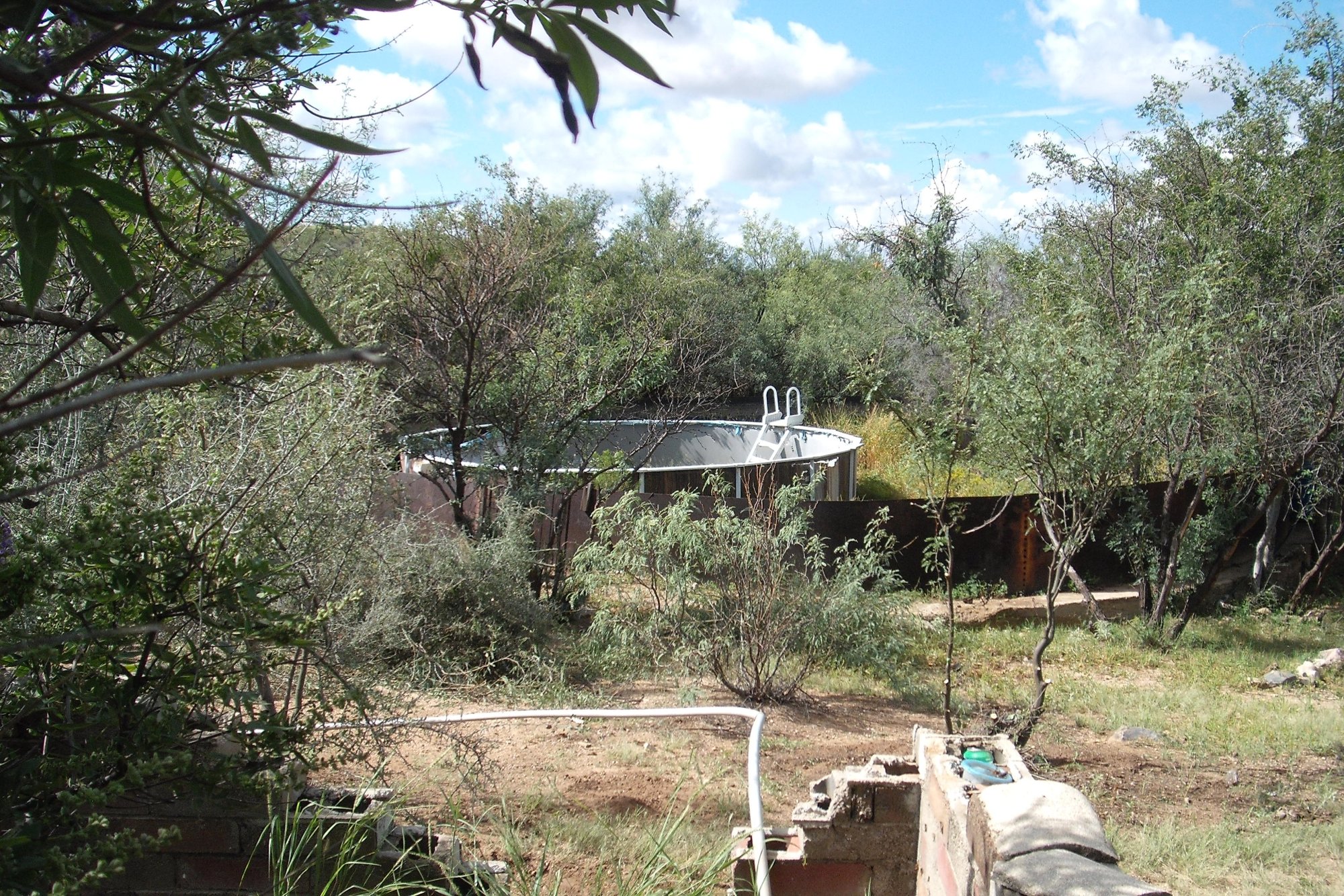 DSCF0067.JPG