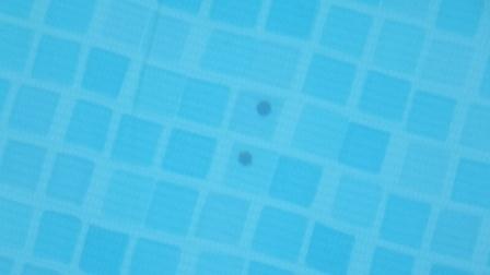 DSCF2014.JPG