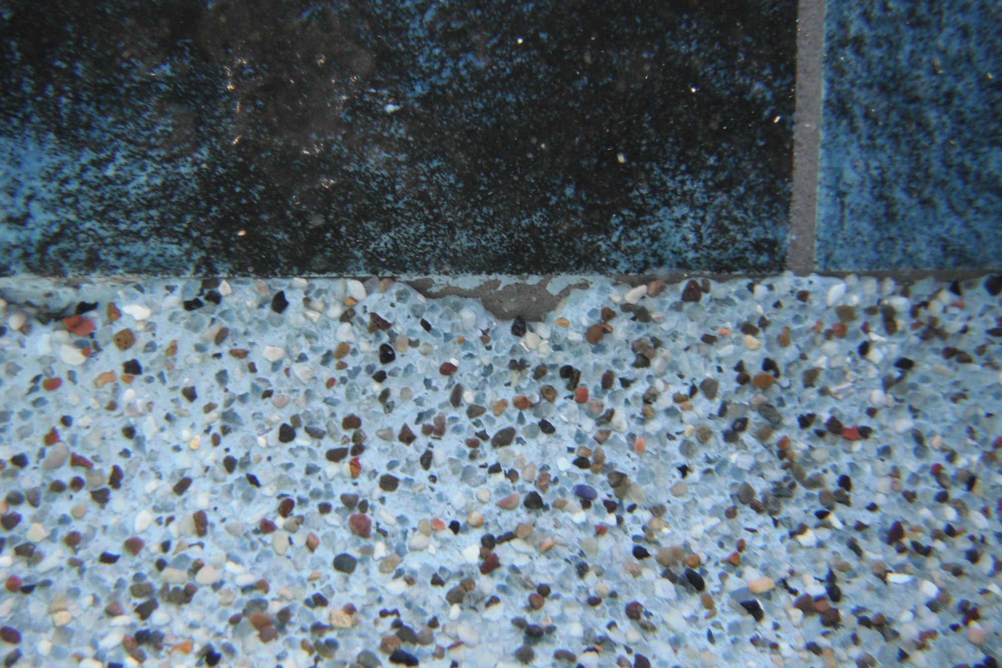 DSCF2618.jpg
