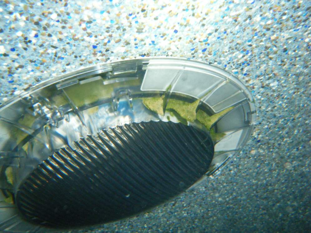 DSCF5473.jpg