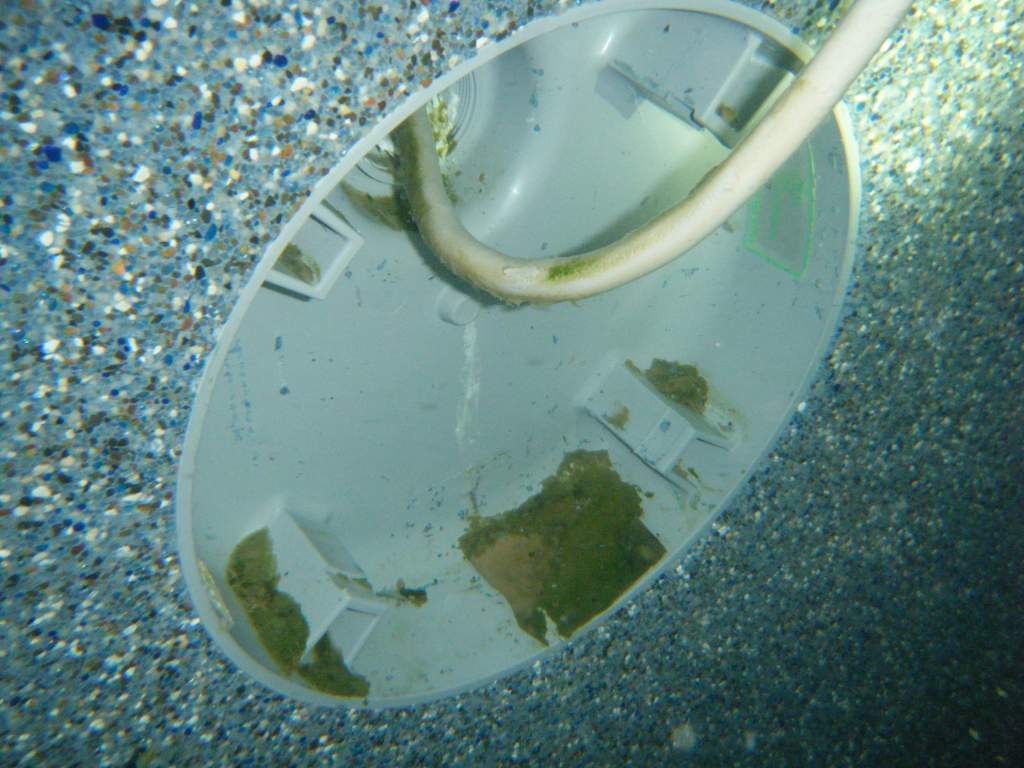 DSCF5475.jpg