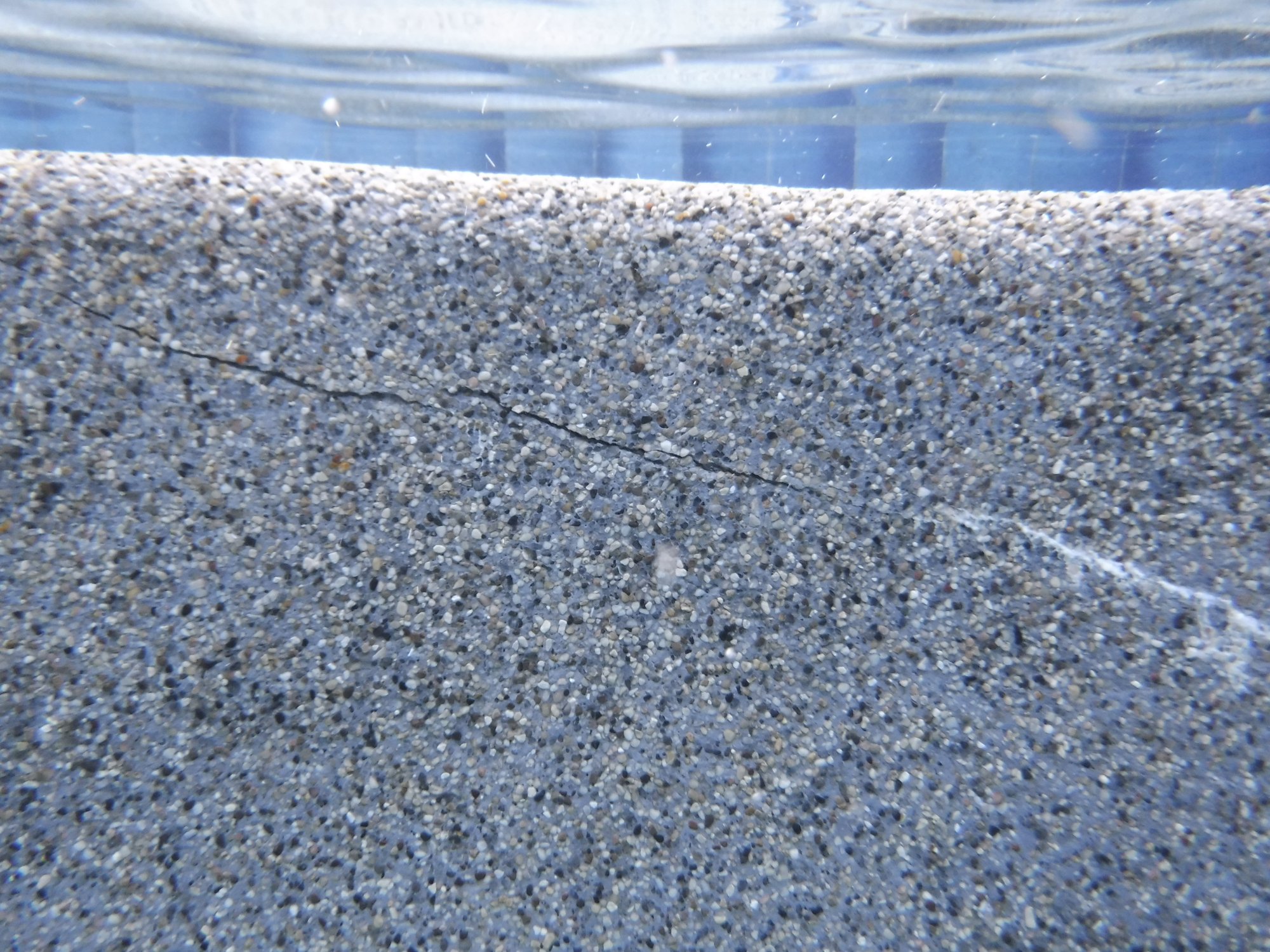 DSCF8675.JPG