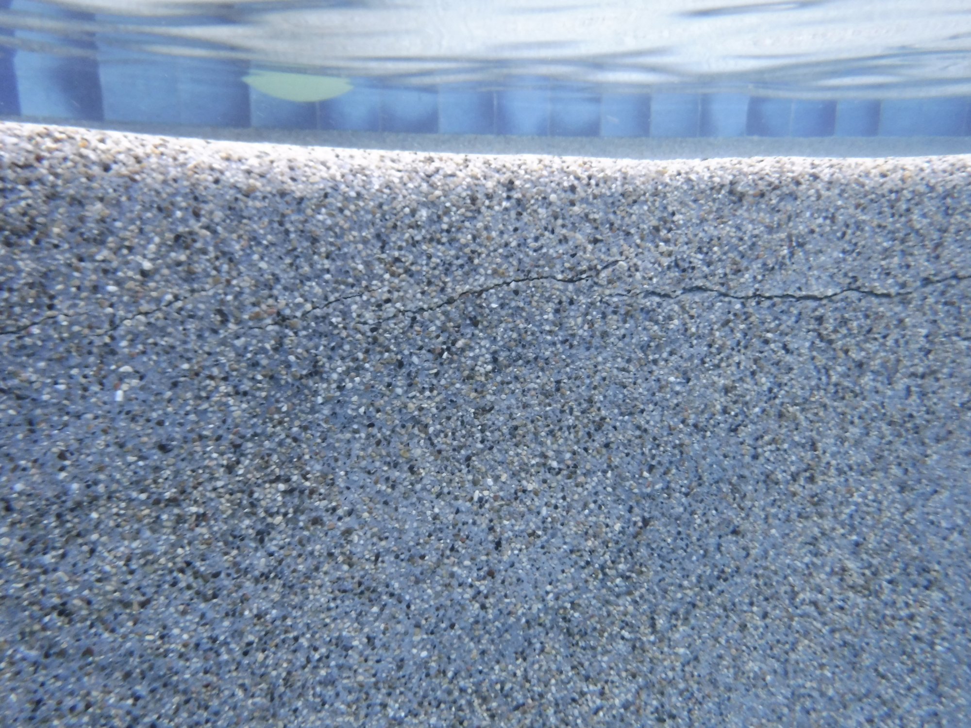 DSCF8677.JPG