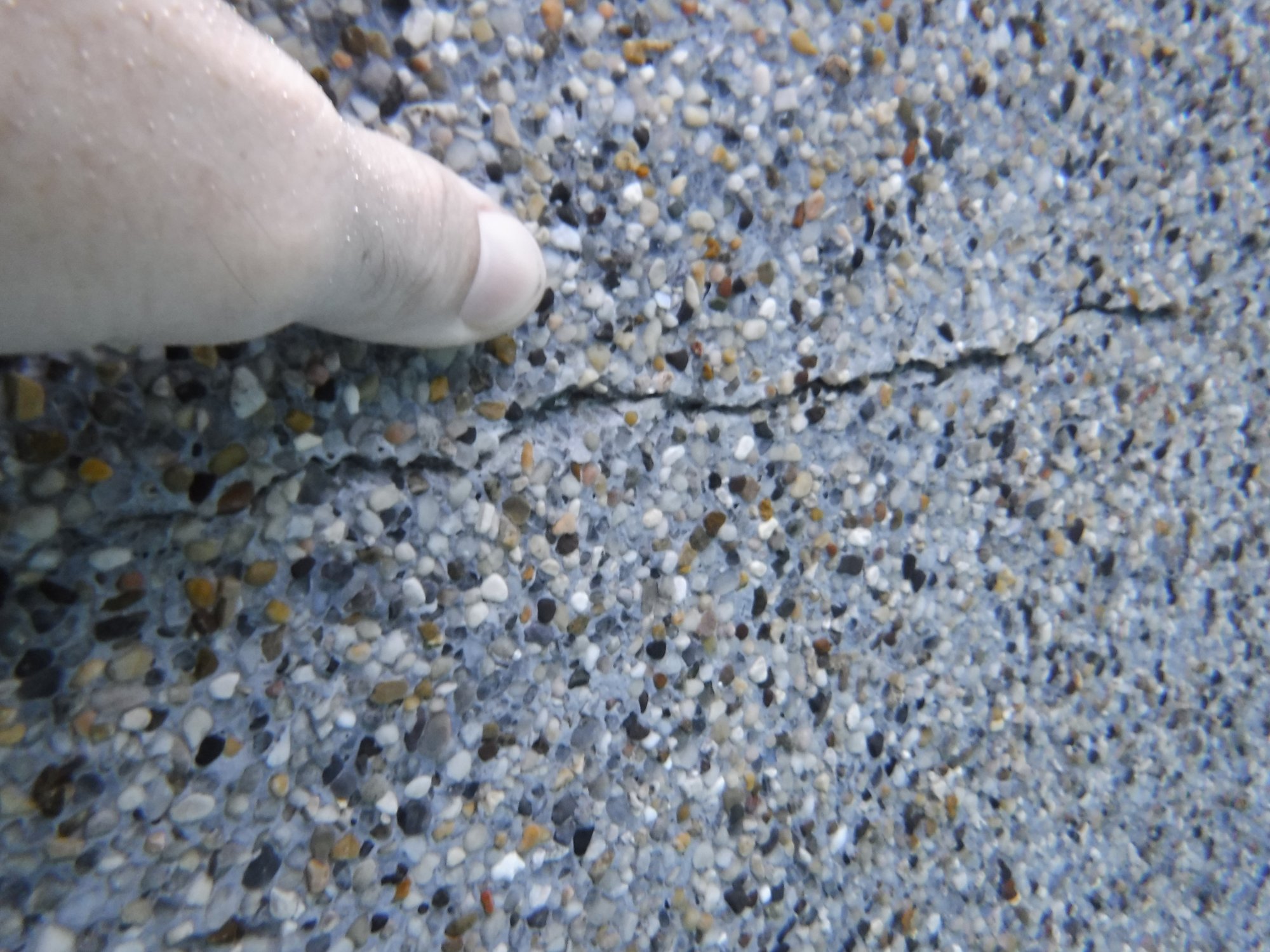 DSCF8678.JPG