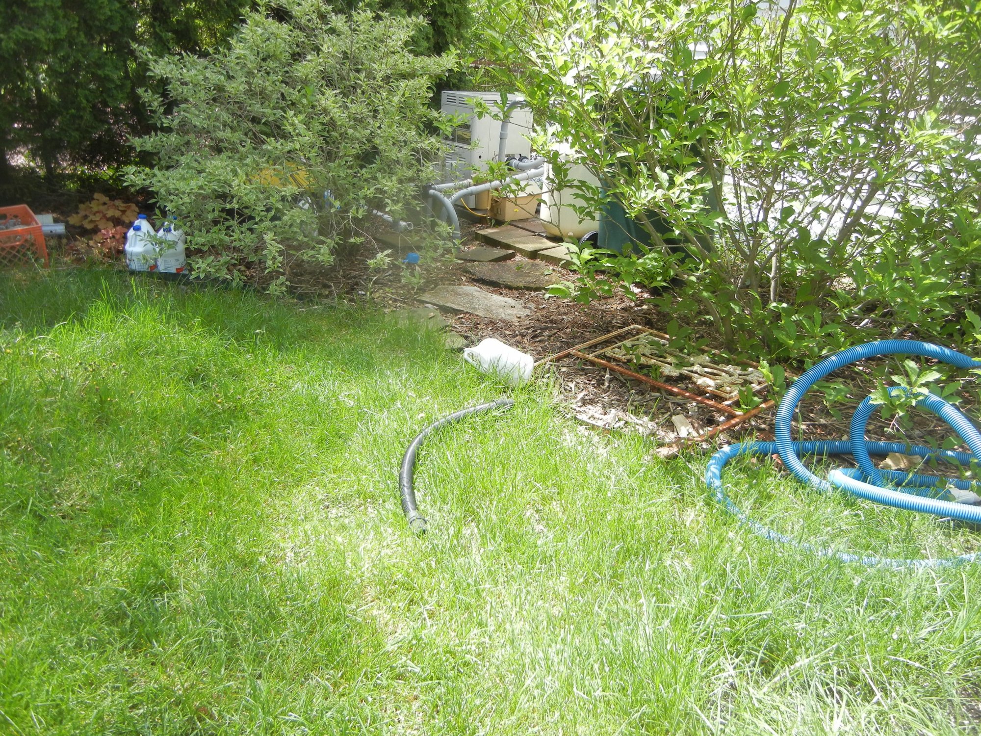 DSCN0334.JPG