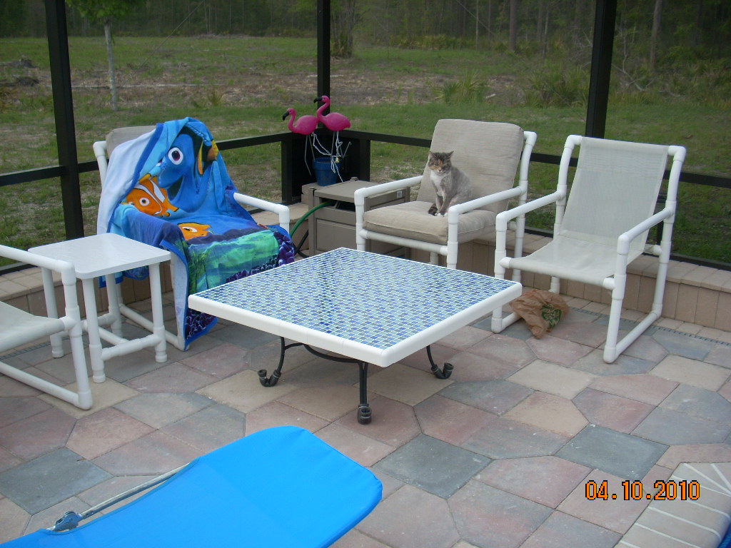 DSCN0779.JPG