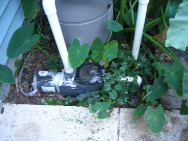 DSCN5724.JPG