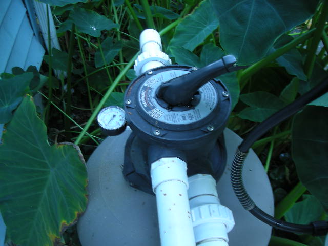DSCN5725.JPG