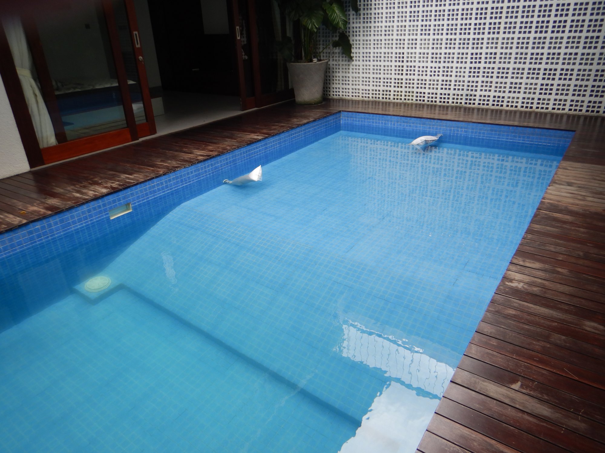 DSCN5915.JPG