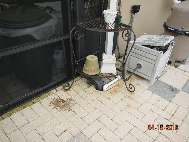 DSCN7777.JPG