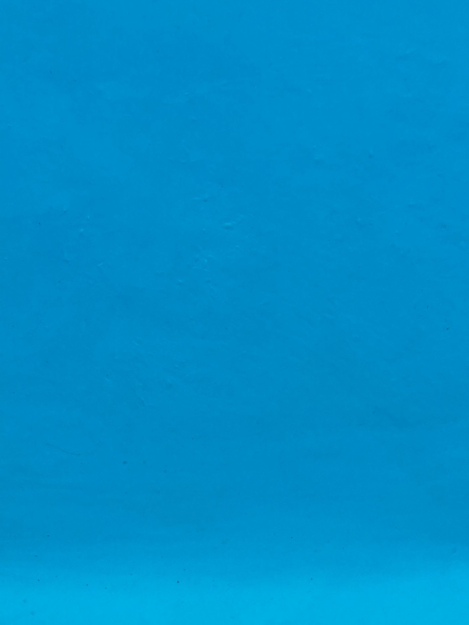E06E32D3-38E2-4F0E-88AC-EEB4E1E842FB.jpeg