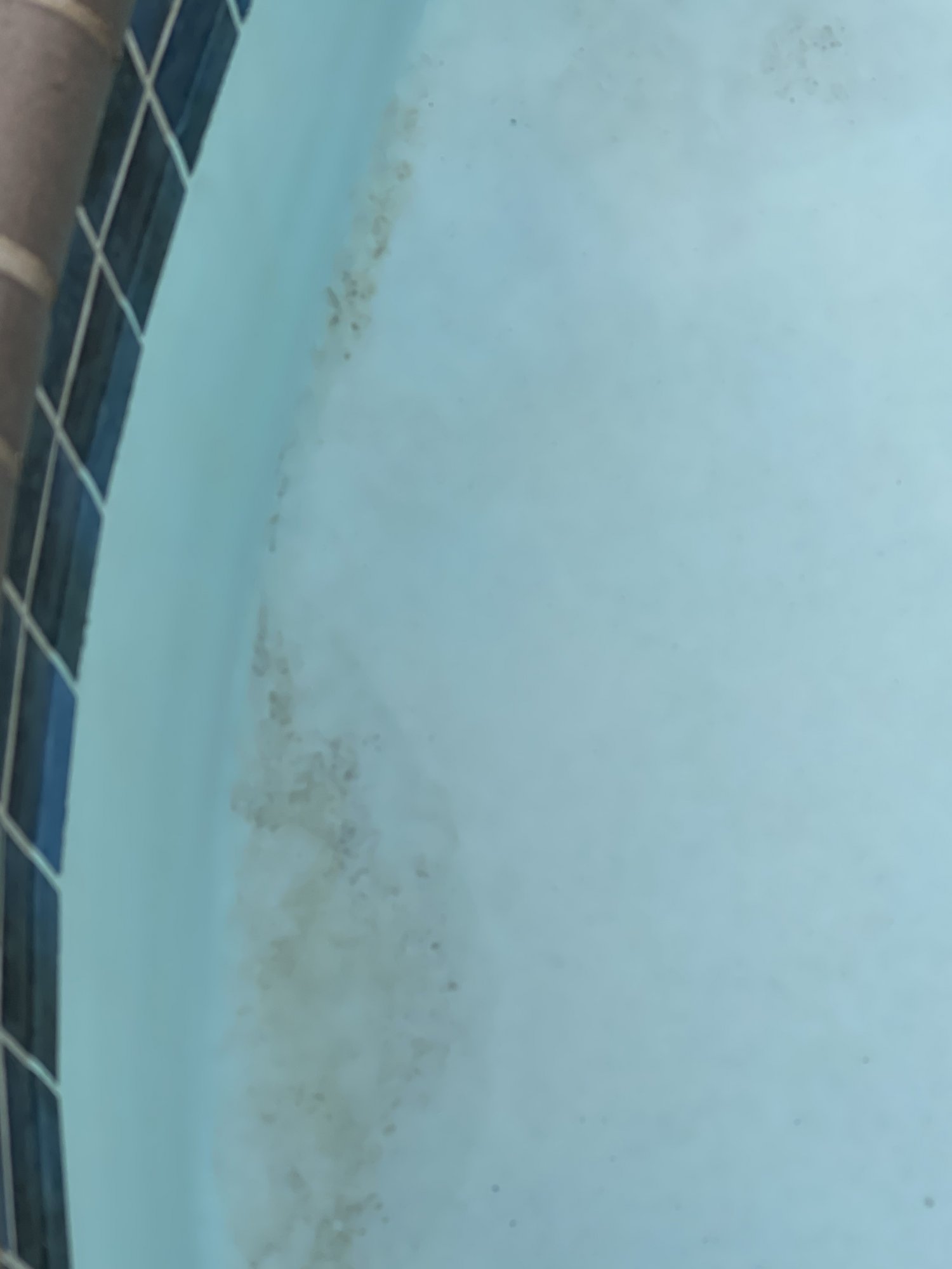 E2807B94-99FD-418D-8D12-EAD5E0997D02.jpeg