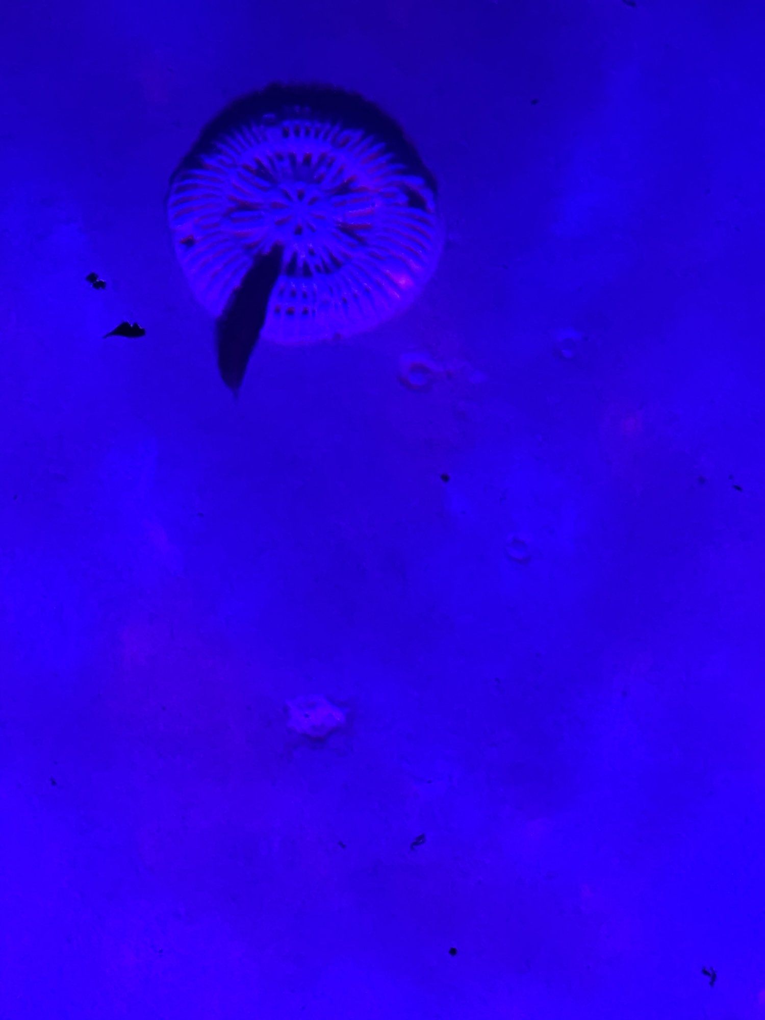 E2CB03B3-2213-4F35-938D-E6E81431E21C.jpeg
